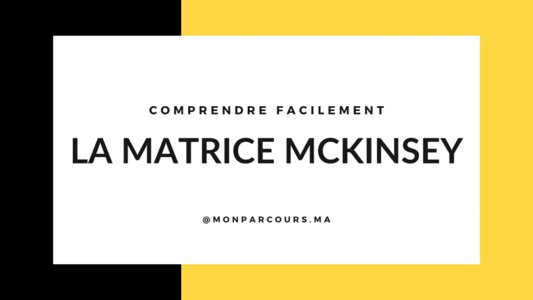 Comprendre La Matrice McKinsey Facilement
