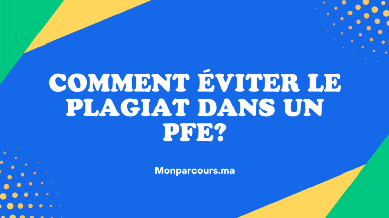 Plagiat PFE Licence