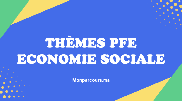 Thèmes PFE Economie Sociale