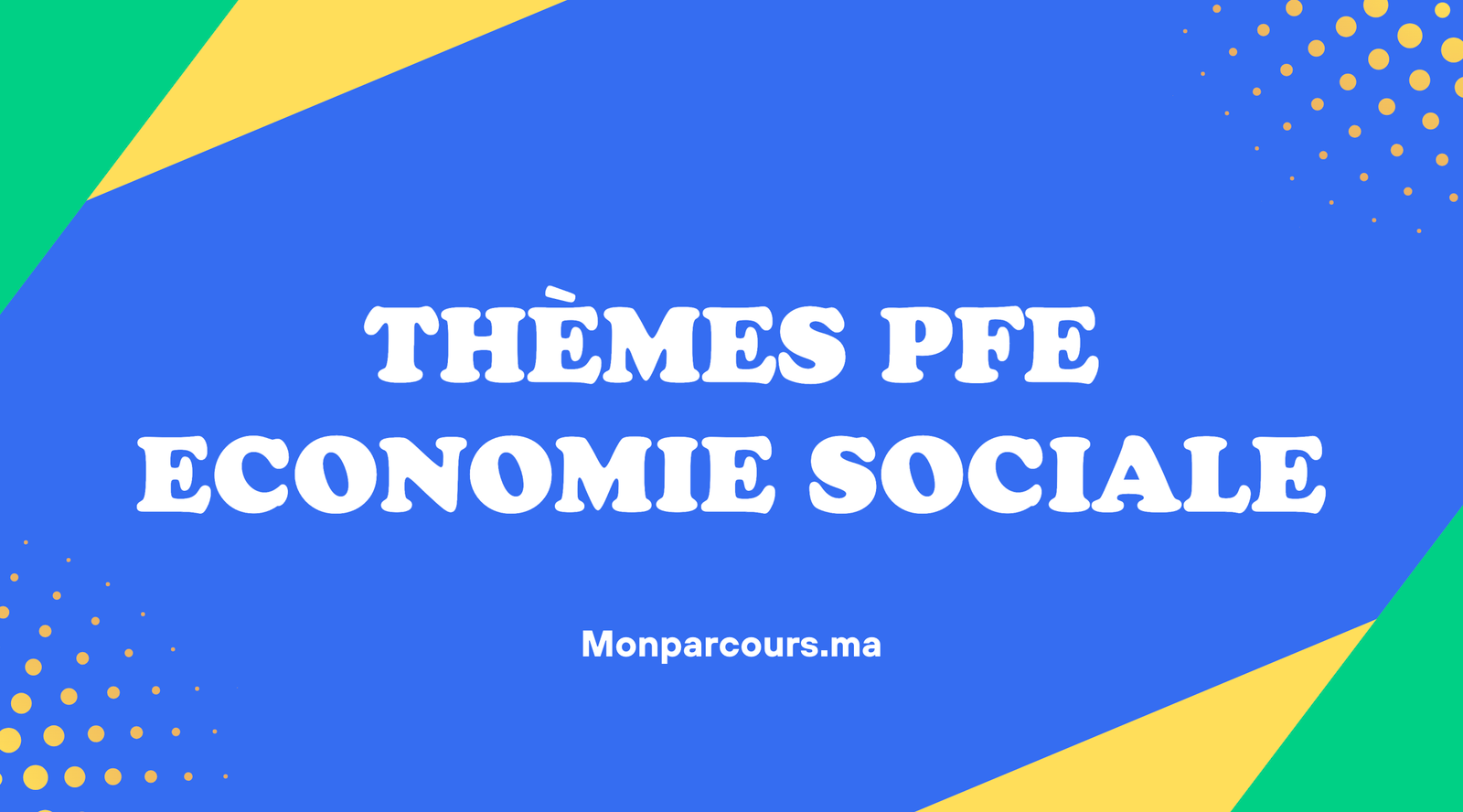 Thèmes PFE Economie Sociale